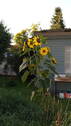 Bild 20 - 