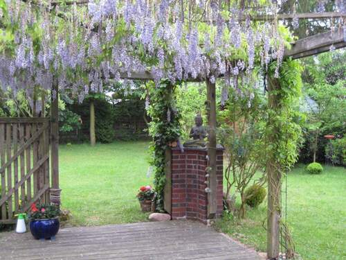 Terrasse Pergola Garten - 