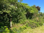 IMG_8673.jpeg - 
