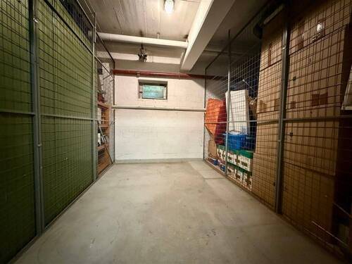Keller mit Licht und eigenem Strom - 
