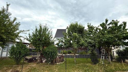 Ansicht - 