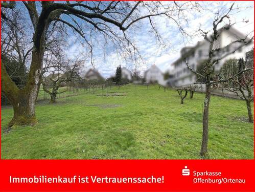 Grundstücksansicht - Offenburg, Rammersweier - Verwirklichen Sie Ihre Wohnträume!