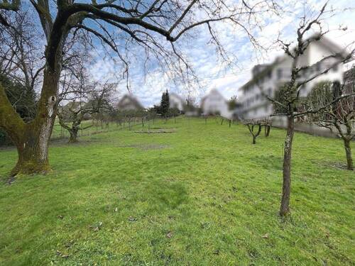 Grundstücksansicht - Grundstück zum Kaufen in Offenburg