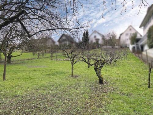 Grundstücksansicht - 