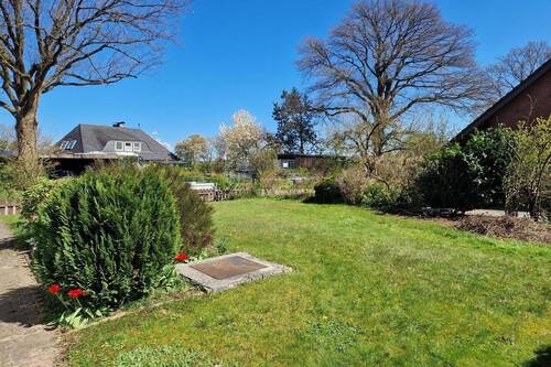 Blick in den Garten - 