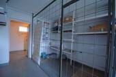 Pelm 12-29.JPG - 