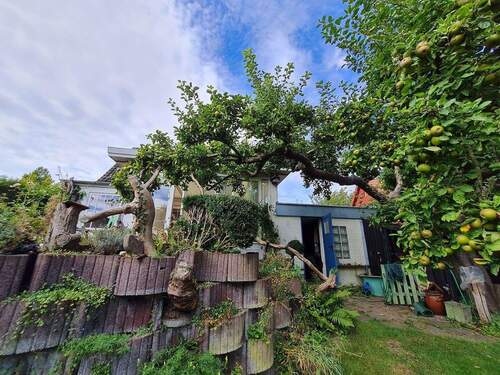 Garten obere Ebene - 