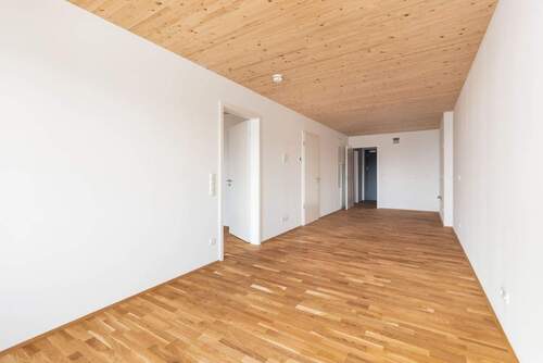 Kochen/Wohnen/Essen - 