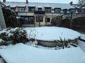 Garten im Winter - Reihenmittelhaus mit 111,00 m&sup2; in Dresden zum Kaufen