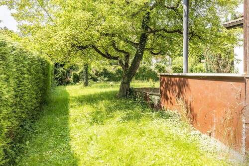 Seitlicher Gartenbereich - 