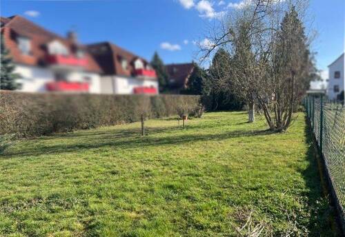 Wohnbaugrundstück bauträgerfrei - Grundstück zum Kaufen in Machern