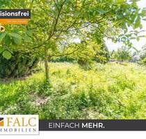 Naturnahe Grünfläche mit vielseitigem Nutzungspotenzial - aktuell Gartenland, perspektivisch mehr? - Mönchengladbach