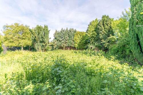 Gartenblick - Grundstück zum Kaufen in Mönchengladbach