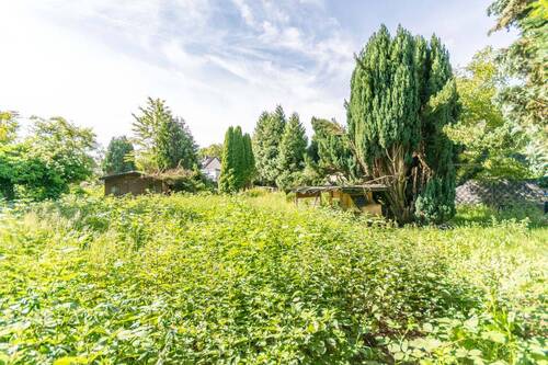 Gartenfläche 2 Perspektive - Grundstück in Mönchengladbach zum Kaufen