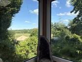 Blick aus dem Wintergarten - 5 Zimmer Einfamilienhaus in Hamburg
