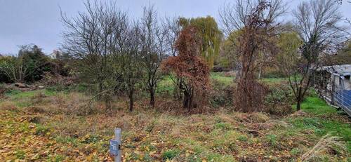 Blick von Straße - unbebautes Grundstück in Wustermark, Berliner Allee