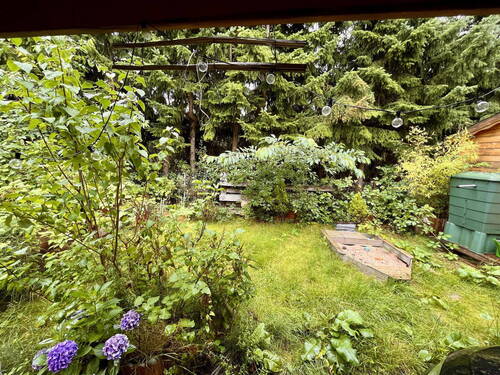 Garten naturbelassen - 