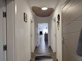IMG_8646 - 