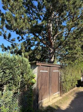 Zugang - Lagerschuppen über die Straße - 