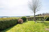 18377 Garten Ausblick - 