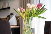 Impression - 