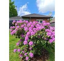 Provisionsfreier Bungalow an der Nordseeküste: Barrierefrei, Kernsaniert & Voll Möbliert - Hemmingstedt