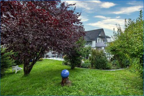 Blick vom Garten auf das Haus - 