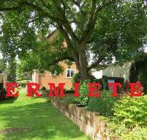 VERMIETET - EFH mit Garten - 1.350,00 EUR Kaltmiete, ca.  145,00 m² Wohnfläche in Dudeldorf (PLZ: 54647)