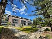Parkanlage (1) - 