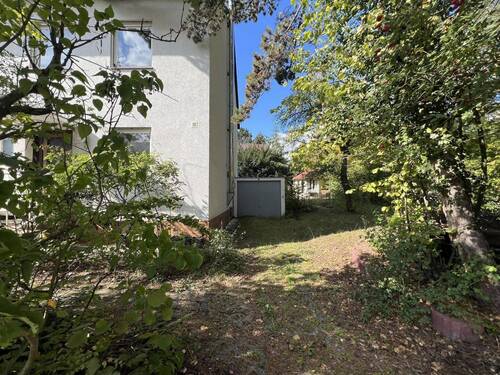 Blick in den Garten - 