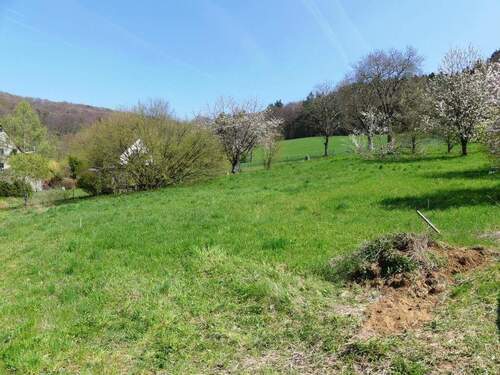 Blick nach Osten - Grundstück in Reichenschwand