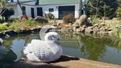 Impression Teich - 