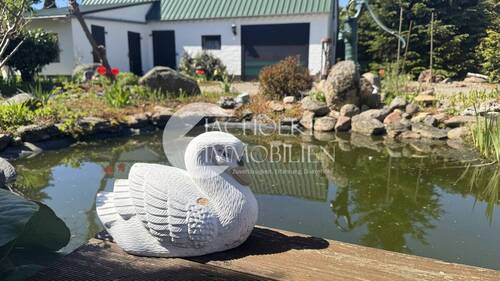 Impression Teich - 
