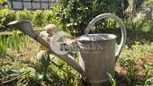 Gießkanne Gartendeko - 