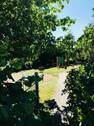 Spielplatz in der Nähe - 