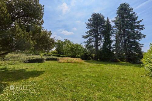 Blick in die Natur - Einfamilienhaus mit 180,00 m² in Jülich zum Kaufen