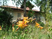 Bild 11 - 