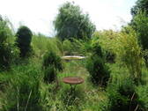 Bild 13 - 