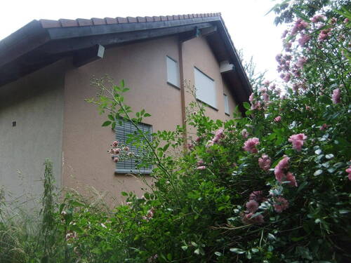Bild 6 - 
