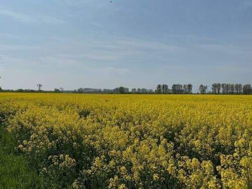 Umgebung von Nauen - 