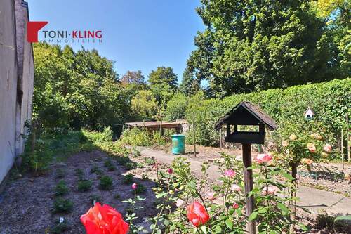 Seitenansicht - Provisionsfrei für Käufer! Grundstück direkt an der idillischen Selz positive Bauvoranfrage erteilt.