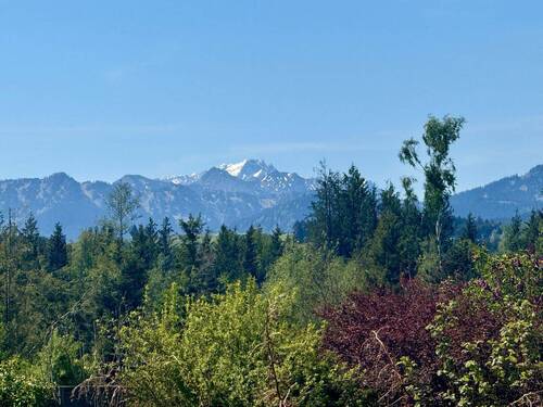 Bergblick - 