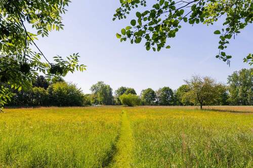Riesiges Grundstück - 