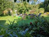 Garten - Sommer - 