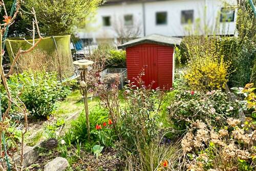 Kleine grüne Oase - 