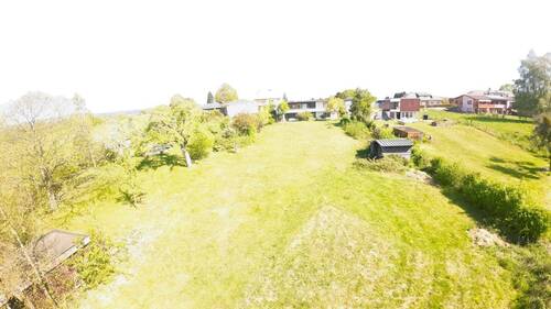 Einblicke Garten - 
