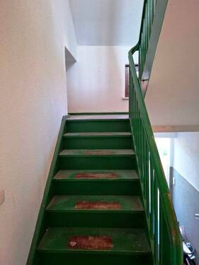 20260318_132147.jpg - 