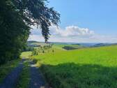 Wanderweg in der Umgebung - 