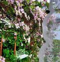 Bild 12 - 