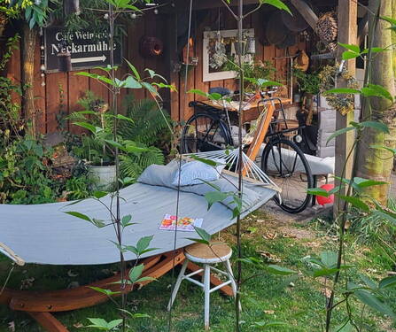 Bild 8 - 